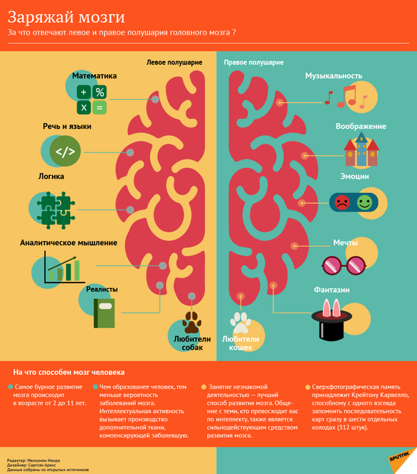А не пришел ли к вам Альцгеймер: как распознать симптомы страшной болезни - Sputnik Молдова