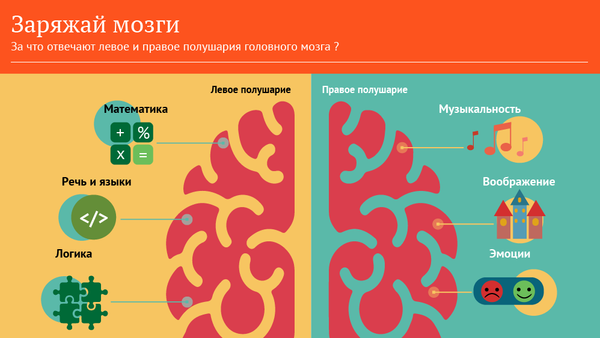 Заряжай мозги - Sputnik Молдова