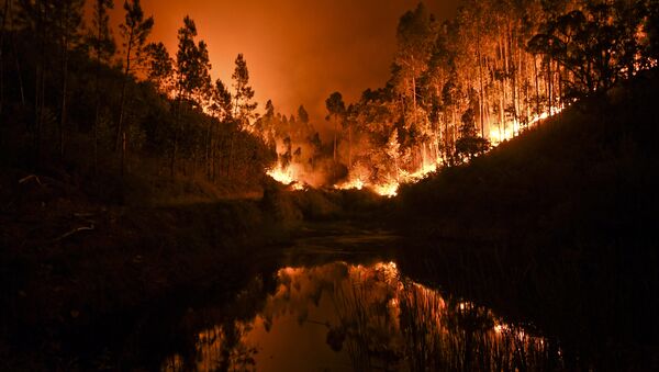 A wildfire is reflected in a stream at Penela, Coimbra, central Portugal - Sputnik Moldova-România