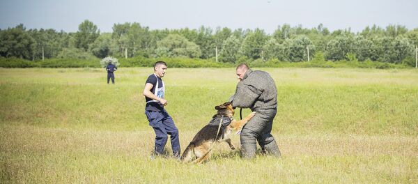 Кинологический биатлон 2017 - Sputnik Молдова