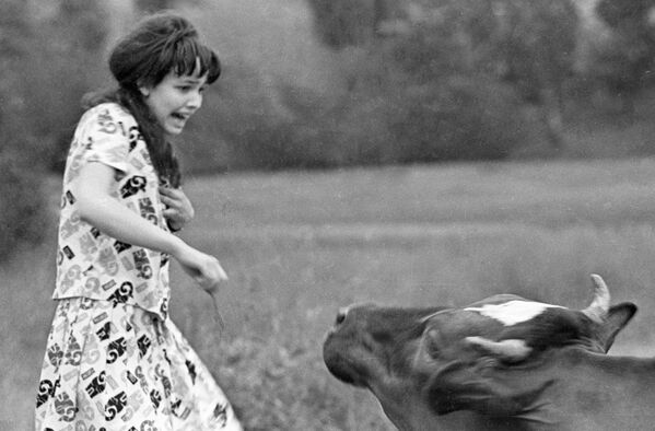 Девушка убегает от коровы - Sputnik Молдова