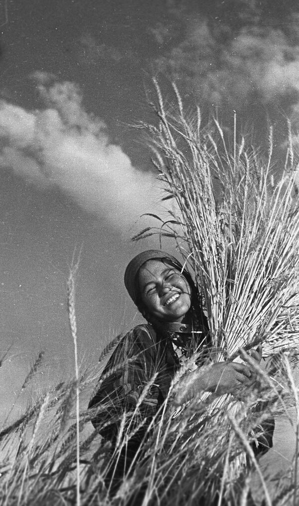 Уборка урожая зерновых на полях Туркменская ССР, 1939 год - Sputnik Молдова