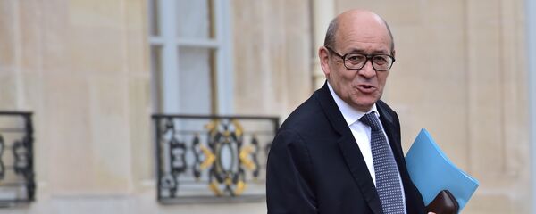 Министр иностранных дел Европы и иностранных дел Французской Республики Жан-Ив Ле Дриан - Sputnik Moldova-România