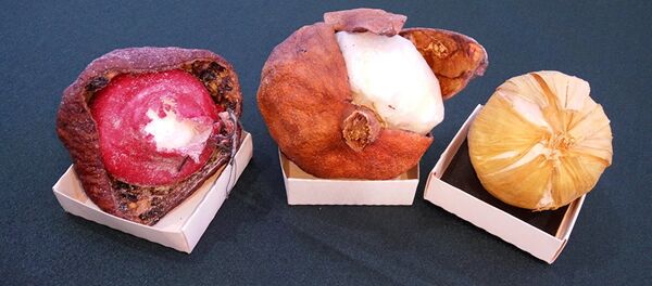 Контейнеры для перевозки наркотиков - Sputnik Молдова