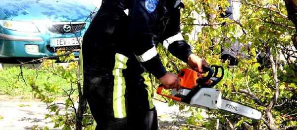 Copaci prăbușiți 23 iunie Chișinău Copaci prăbușiți 23 iunie Chișinău - Sputnik Moldova