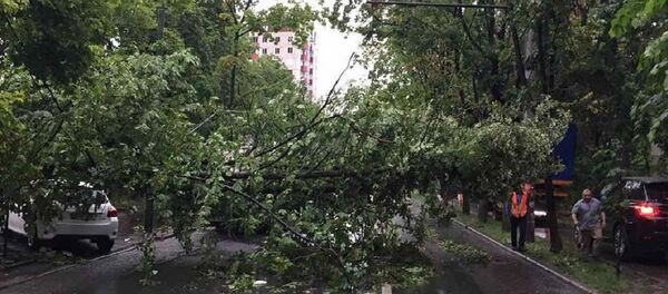 politia de patrulare consecintele furtnii din 23 iunie 2017 - Sputnik Moldova