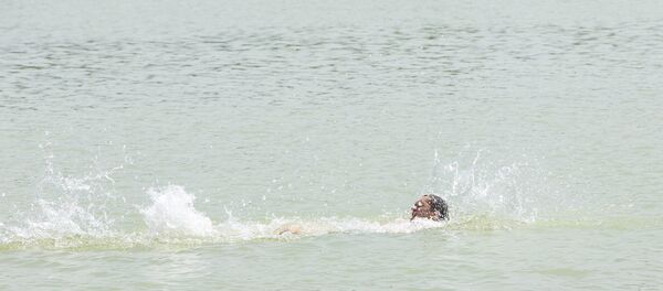 озеро - Sputnik Moldova