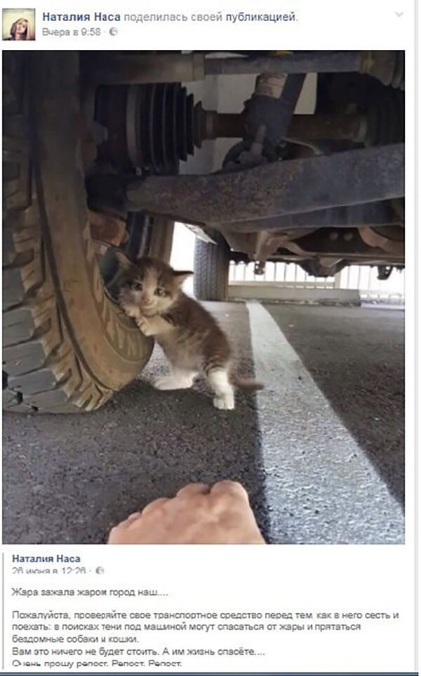 Пост о безопасности в Facebook  - Sputnik Молдова