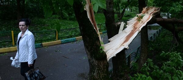 Urmările furtunii - Sputnik Moldova