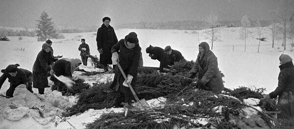 Ленинградцы копают окопы - Sputnik Молдова