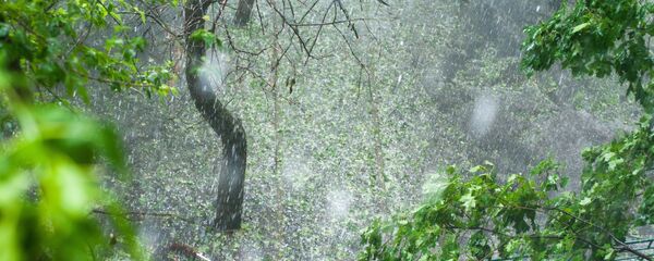 Дождь в Москве Дождь в Москве - Sputnik Moldova-România