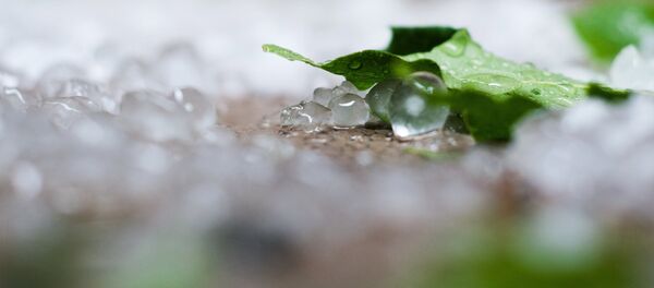 Grindină  - Sputnik Moldova