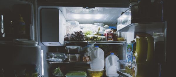 Frigider - Imagine Simbol Frigider - Imagine Simbol - Sputnik Moldova