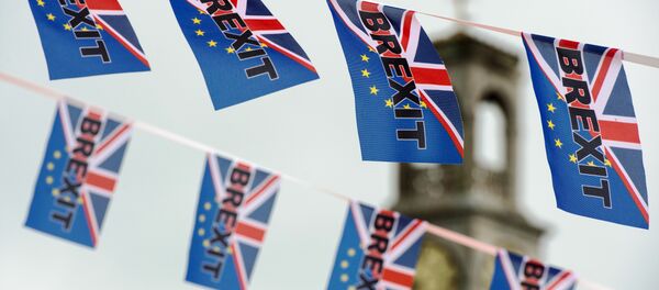 Pro-Brexit flags fly from a fishing boat moored in Ramsgate on June 13, 2016. - Sputnik Moldova-România
