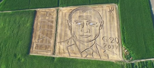 Итальянский фермер нарисовал портрет Путина на поле - Sputnik Молдова