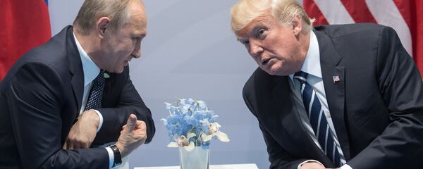 Президент РФ В. Путин принимает участие в саммите Группы двадцати в Гамбурге - Sputnik Moldova-România