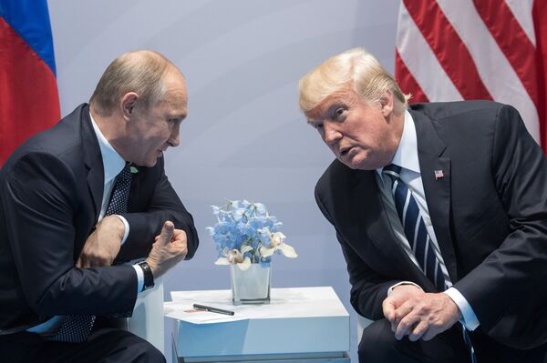 Президент РФ В. Путин принимает участие в саммите Группы двадцати в Гамбурге - Sputnik Молдова