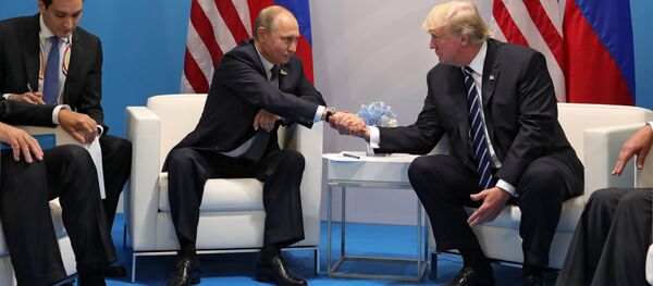 Президент РФ В. Путин принимает участие в саммите Группы двадцати в Гамбурге - Sputnik Молдова