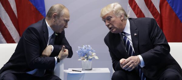 Президент РФ Владимир Путин во время встречи с президентом США Дональдом Трампом на полях саммита лидеров Группы двадцати G20 в Гамбурге - Sputnik Молдова
