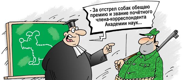 Академия наук против бродячих собак - Sputnik Молдова