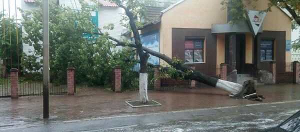 Consecințele ploii torențiale în raioanele de nord ale țării - Sputnik Moldova