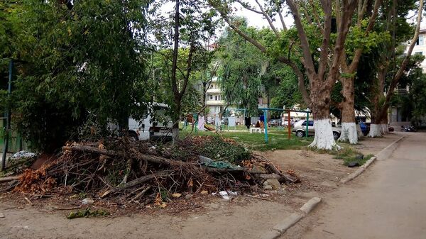 Crengi și gunoi lână terenul de joacă. Chișinău, sectorul Botanica - Sputnik Moldova