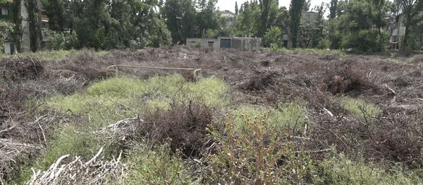 Пожароопасный Кишинев: потенциальные очаги катастрофы - Sputnik Moldova