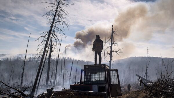 Сотрудник Авиалесоохраны Республики Бурятия во время ликвидации природного лесного пожара в Кабанском районе Бурятии - Sputnik Moldova