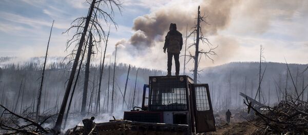 Сотрудник Авиалесоохраны Республики Бурятия во время ликвидации природного лесного пожара в Кабанском районе Бурятии Сотрудник Авиалесоохраны Республики Бурятия во время ликвидации природного лесного пожара в Кабанском районе Бурятии - Sputnik Moldova