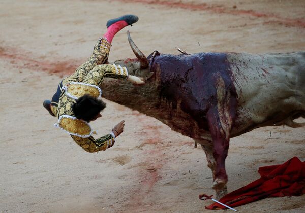 Тореадор во время схватки с быком во время фиесты Сан-Фермин в Памплоне, Испания - Sputnik Молдова