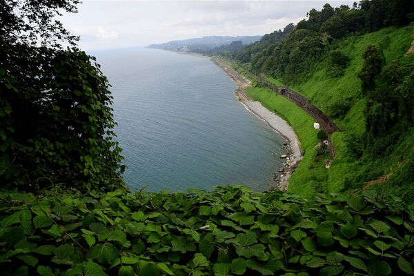 Вид на Зеленый мыс и черноморское побережье Аджарии со смотровой площадки батумского Ботанического сада - Sputnik Молдова