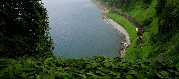 Вид на Зеленый мыс и черноморское побережье Аджарии со смотровой площадки батумского Ботанического сада - Sputnik Молдова