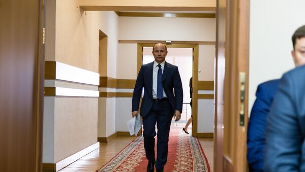 Экс-премьер обещает созовать в ближайшее время еще одно заседание Национального совета ЛДПМ - Sputnik Молдова