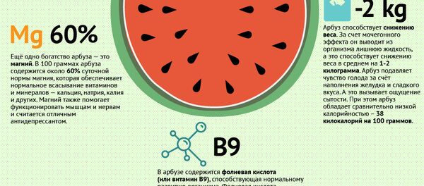 Знает каждый карапуз, чем полезен всем арбуз Знает каждый карапуз, чем полезен всем арбуз - Sputnik Молдова