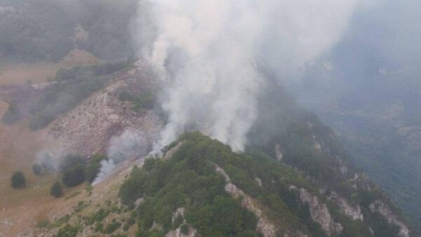 Incendii în munții din România - Sputnik Moldova-România