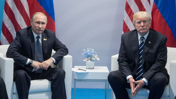 Президент РФ Владимир Путин и президент США Дональд Трамп во время беседы на полях саммита лидеров Группы двадцати G20 в Гамбурге - Sputnik Moldova-România