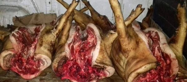 Carne de porc fără acte de proveniență - Sputnik Moldova-România