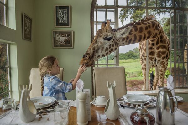Работа фотографа Ирины Остроуховой Завтрак с жирафом, занявшая первое место в категории Детская фотография. Профессионалы на ежегодном фотоконкурсе компании Nikon Я | В СЕРДЦЕ ИЗОБРАЖЕНИЯ - Sputnik Молдова