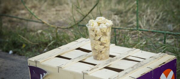 Орехи - Sputnik Молдова