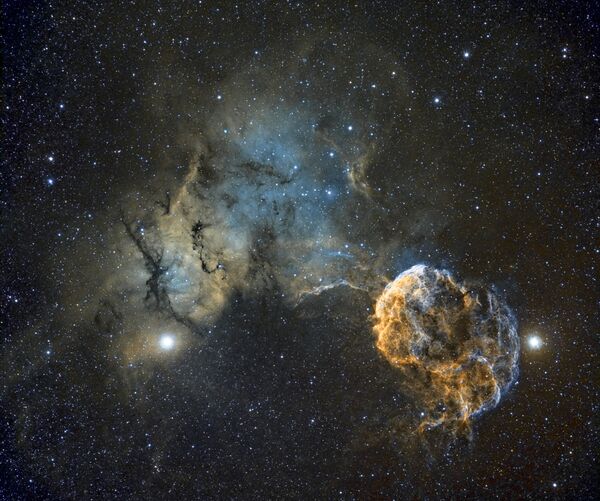 Снимок Sh2-249 Jellyfish Nebula фотографа Chris Heapy, вошедший в шорт-лист конкурса Insight Astronomy Photographer of the Year 2017 - Sputnik Молдова