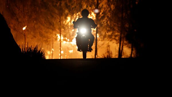 Пожарный уезжает на мотоцикле от лесного пожара рядом с деревней Макао, Португалия - Sputnik Moldova-România