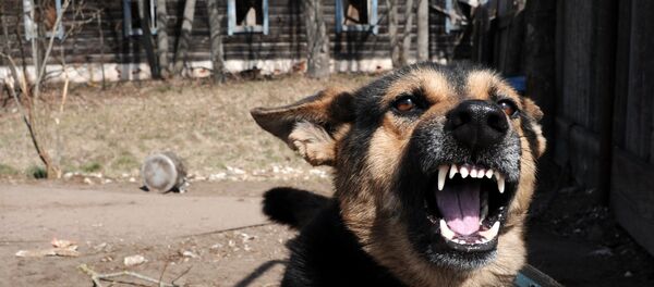 Полесский радиационно-экологический заповедник в Белоруссии - Sputnik Молдова