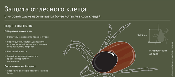 Защита от лесного клеща - Sputnik Молдова