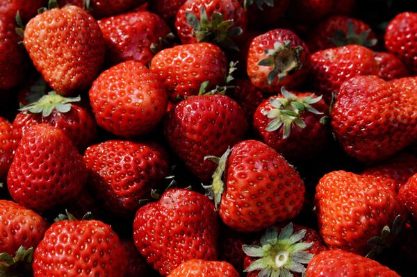 Клубника. - Sputnik Молдова