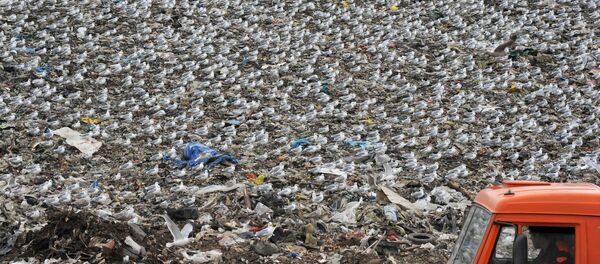 Свалка бытовых отходов - Sputnik Молдова