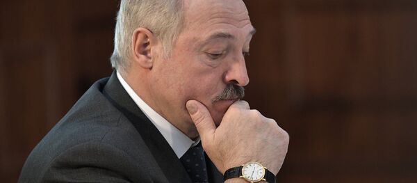 Президент Беларуси Александр Лукашенко на заседании Высшего Евразийского экономического совета - Sputnik Moldova-România