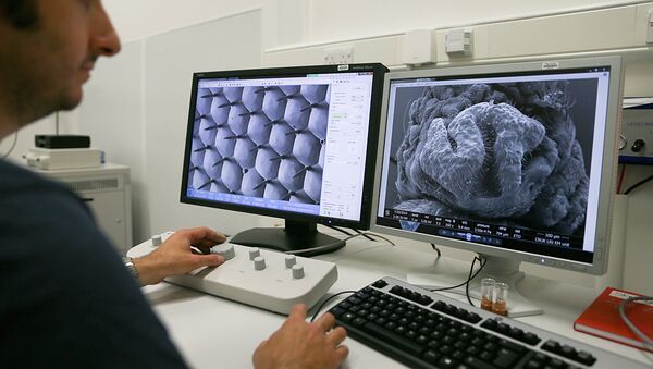 Ученый изучает  ДНК с помощью электронного микроскопа - Sputnik Молдова