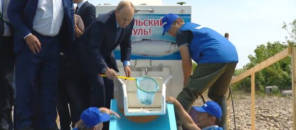 Путин выпустил мальков в Байкал Путин выпустил мальков в Байкал - Sputnik Молдова