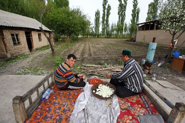 Жители села Тейит чистят лук во дворе своего дома, 2010 год - Sputnik Молдова