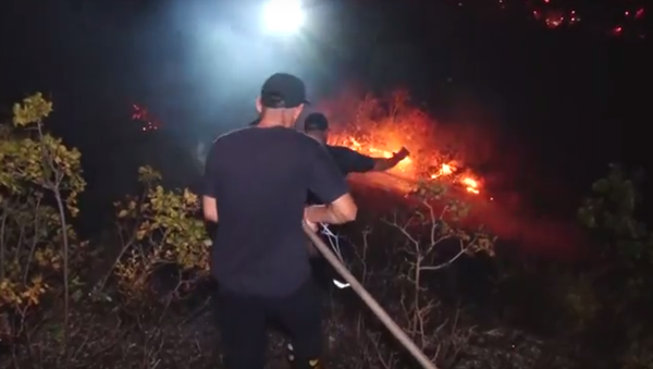 Пожар на горе Мтацминда - Sputnik Молдова